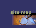 Search/Sitemap